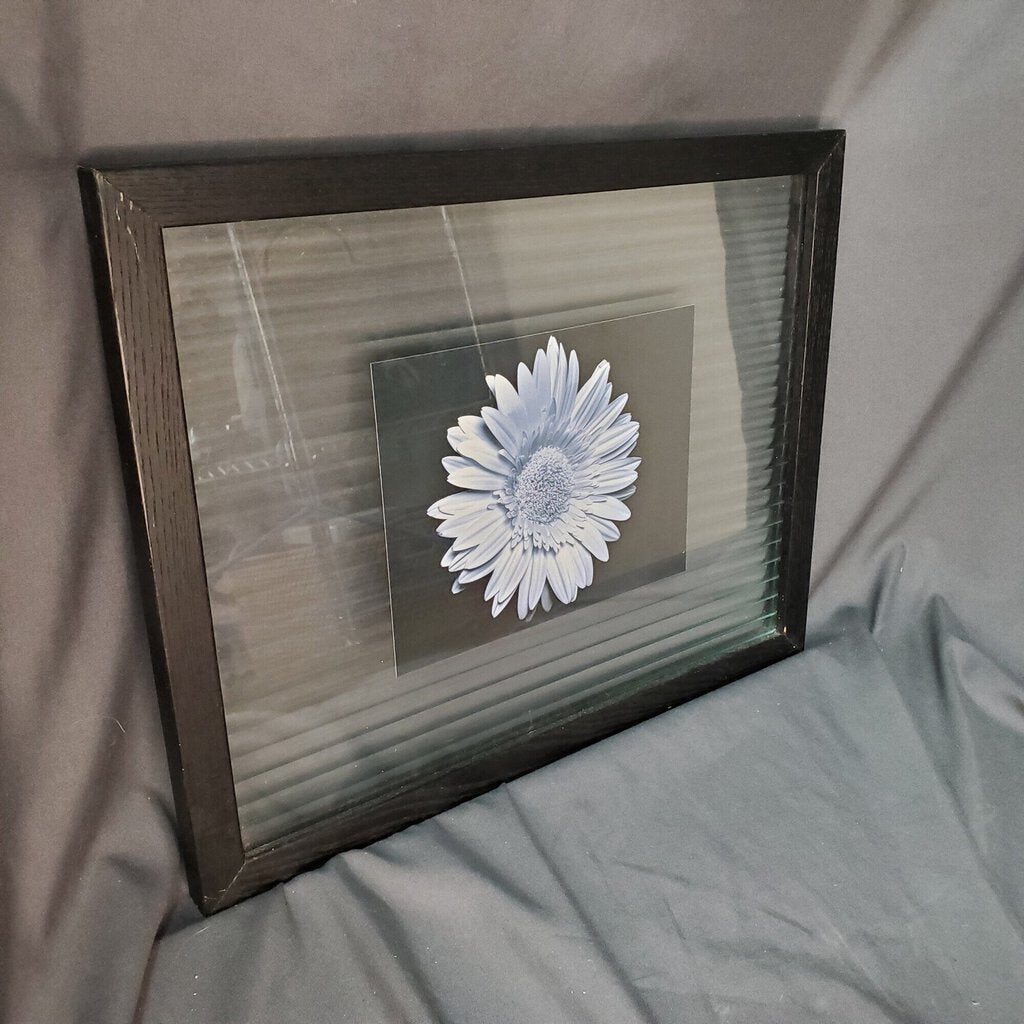 Daisy Print In Glass, Black, Size: 15x13