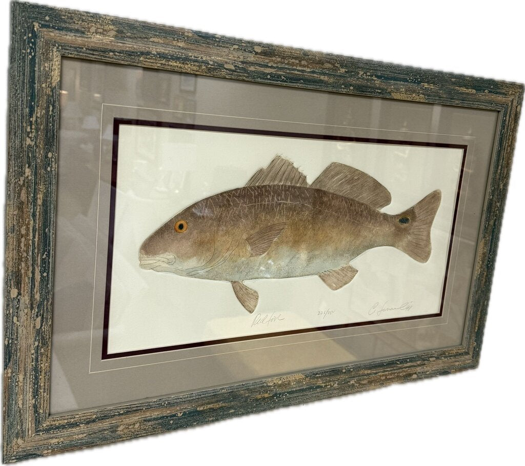 Pair fish etching framed