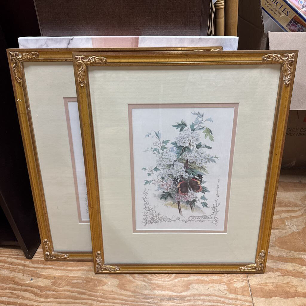 Pair florals framed