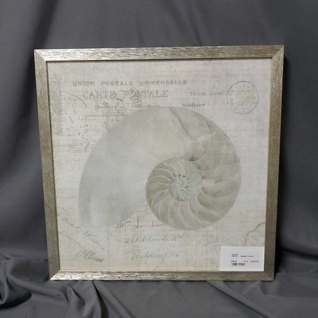 Nautilus framed