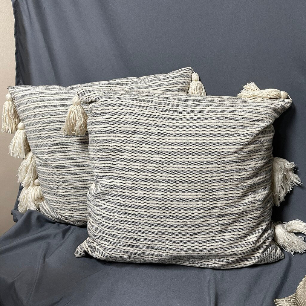 Pair Striped Fringed Pillows
