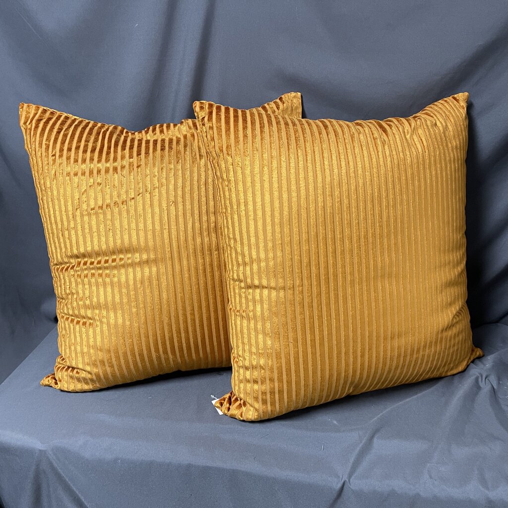 Pair Ribbed Velvet Pillows