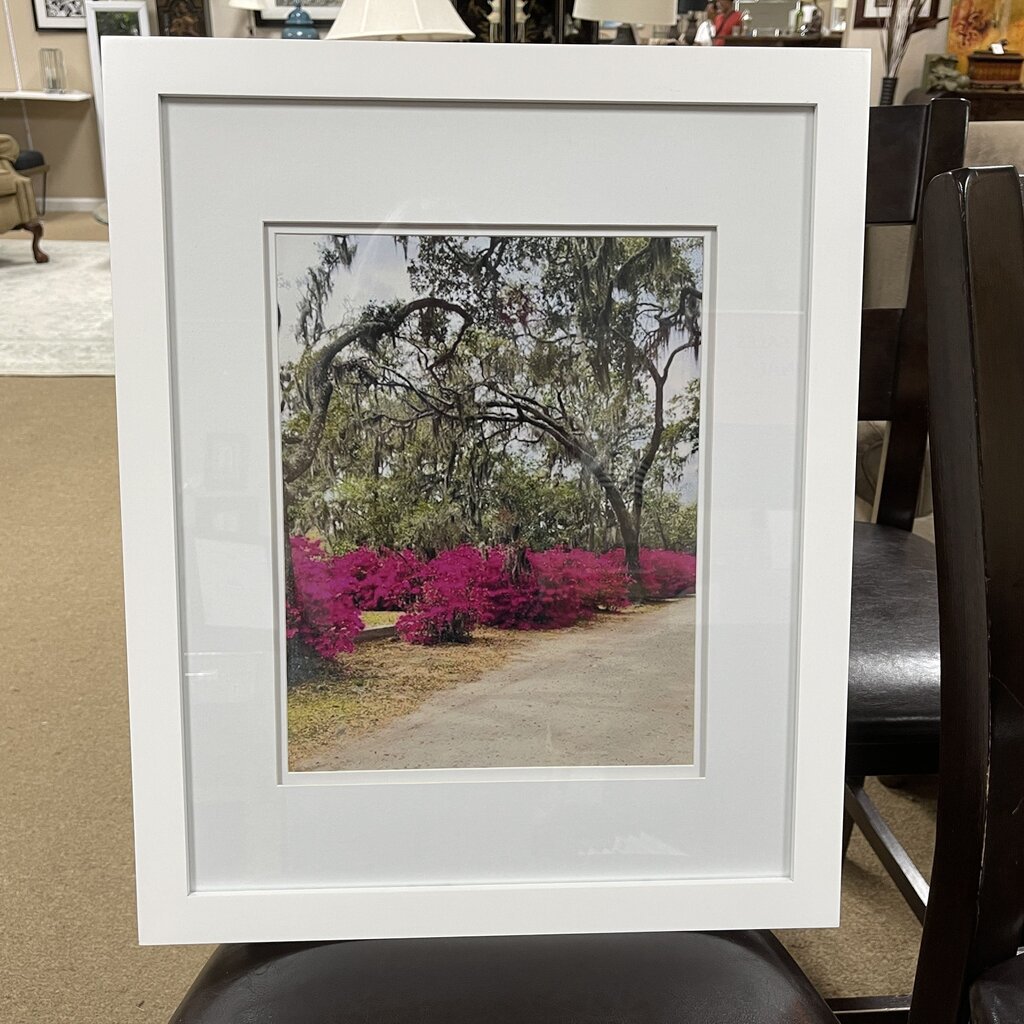 Framed Bonaventure Cemetary Photo