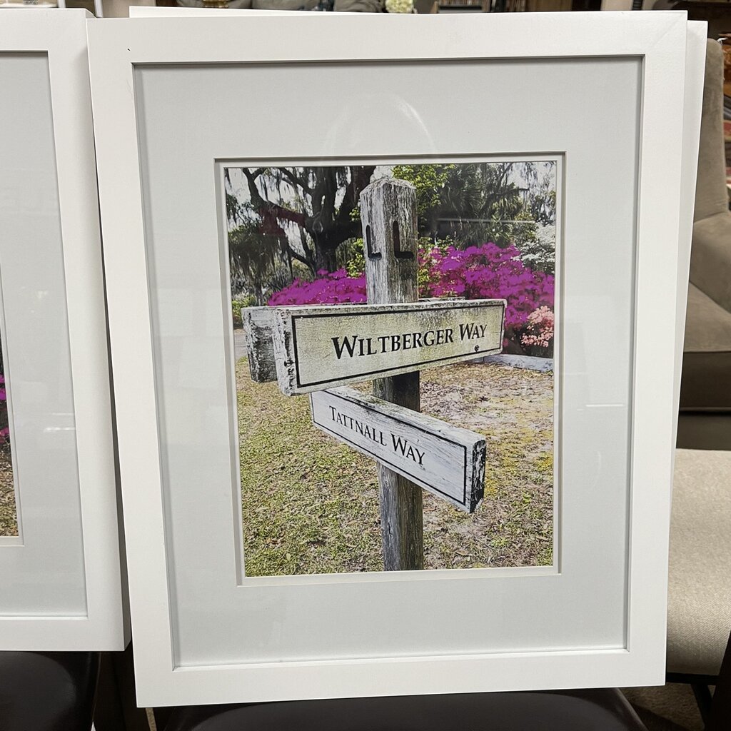 Framed Bonaventure Cemetary Photo