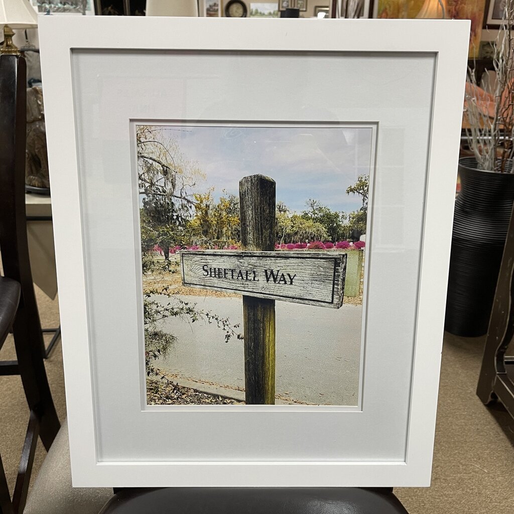 Framed Bonaventure Cemetary Photo