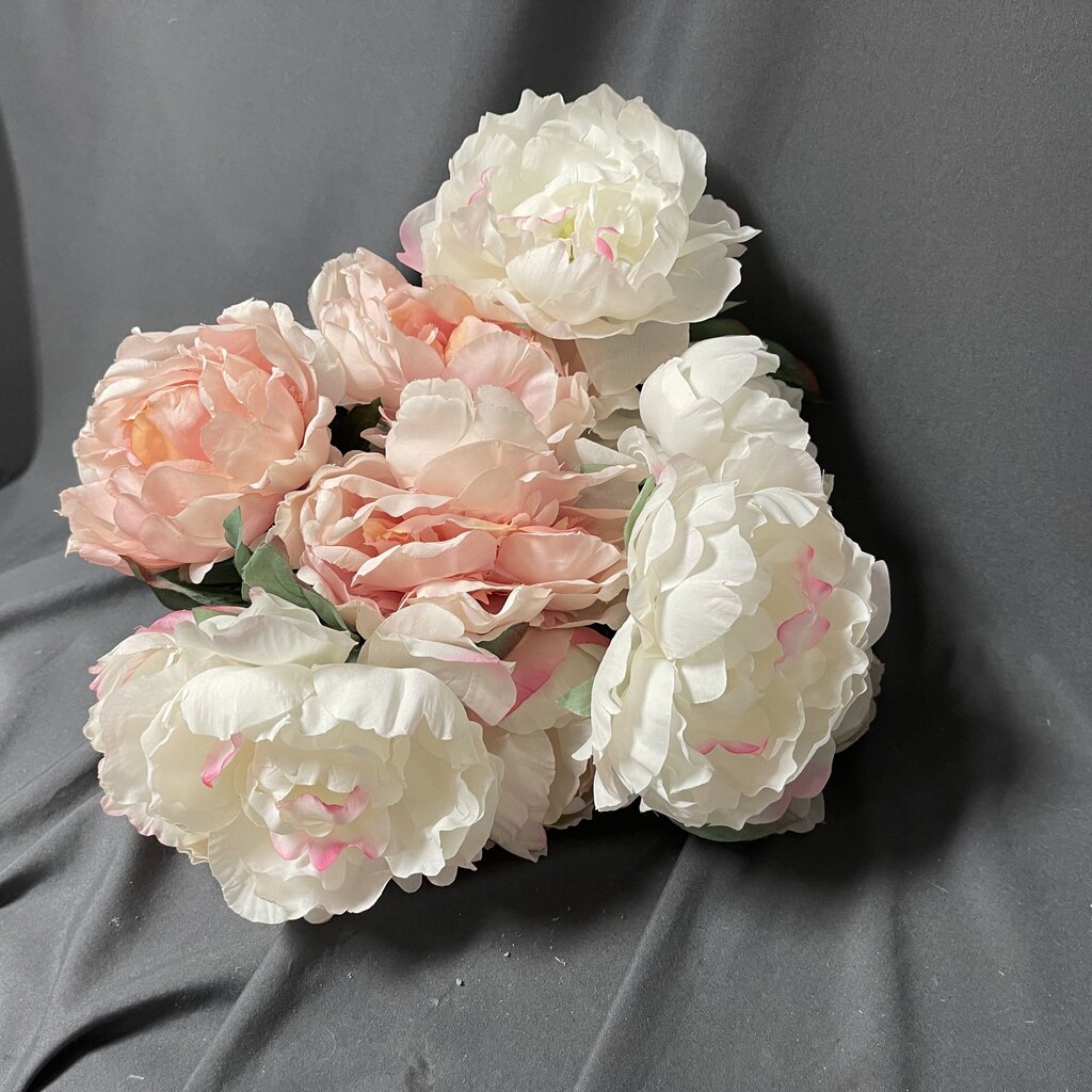 Pink Peonies Stems