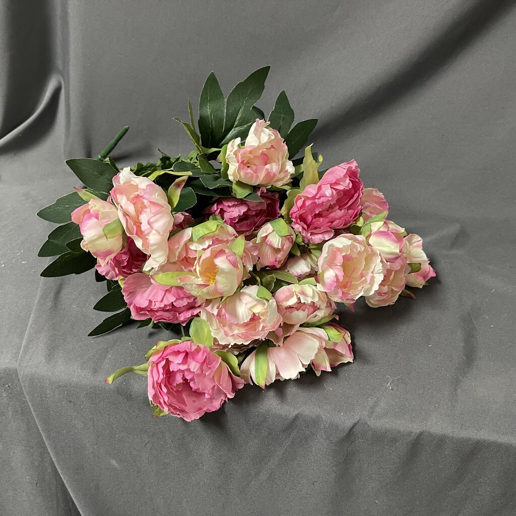 Pink Ranunculus Stems