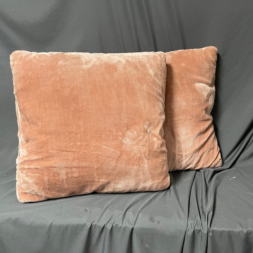 Pair Pink Velvet Pillows