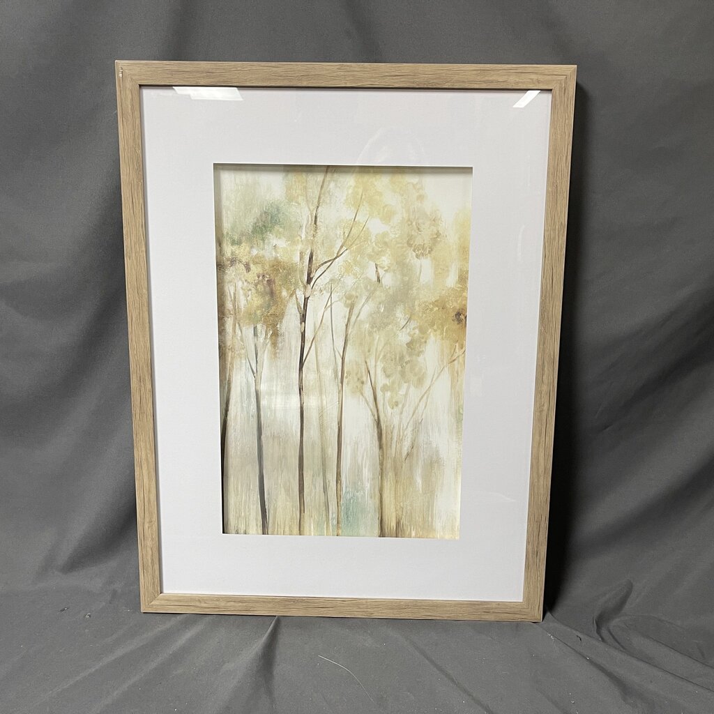 Framed Trees Canvas