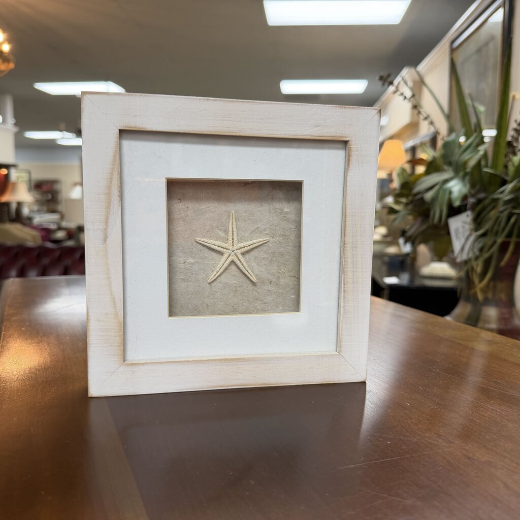 Framed Starfish