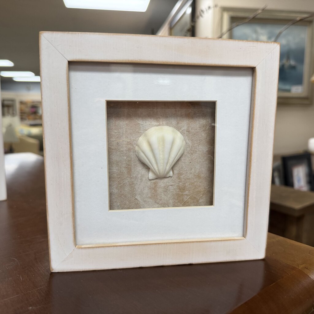 Framed Shell