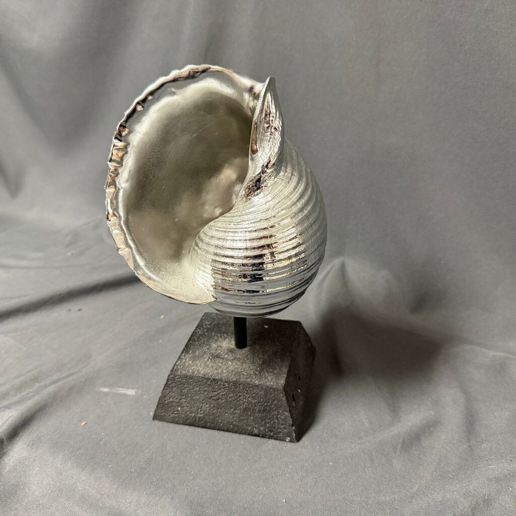 Silver Conch Shell on Stand