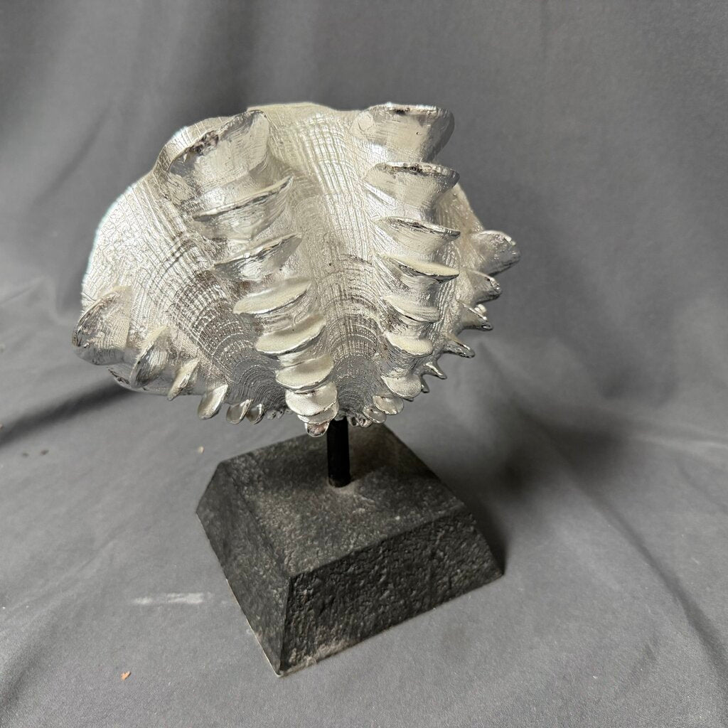 Silver Clam Shell on Stand