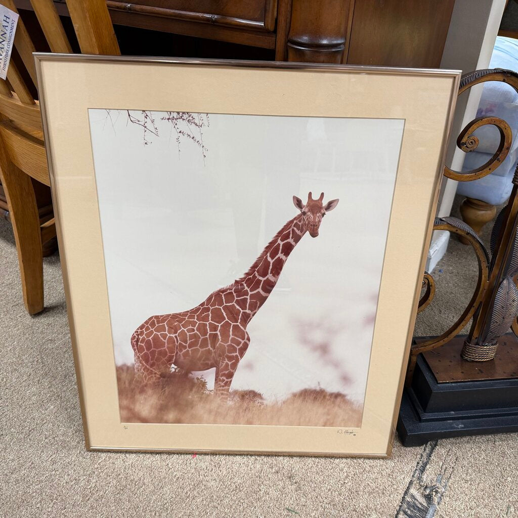 Signed + Numbered Giraffe Photo