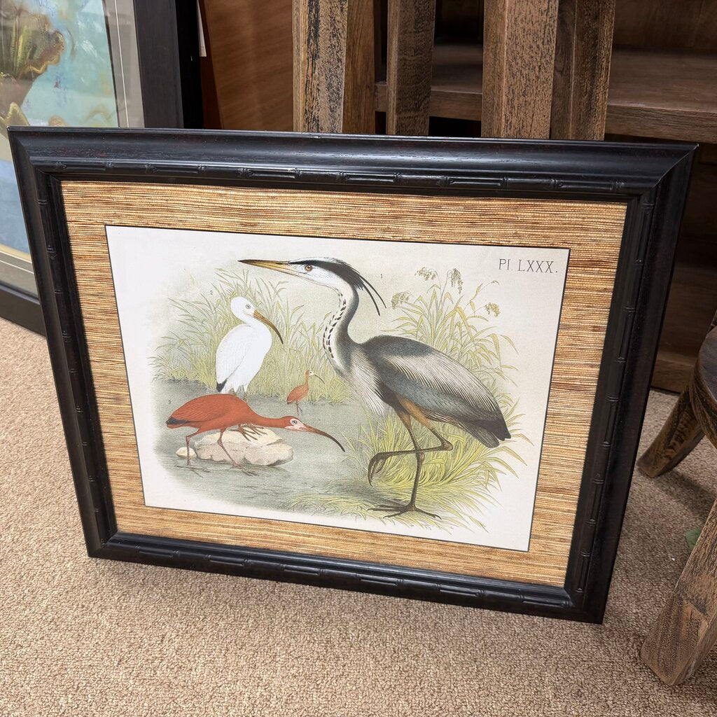 Water Birds Print