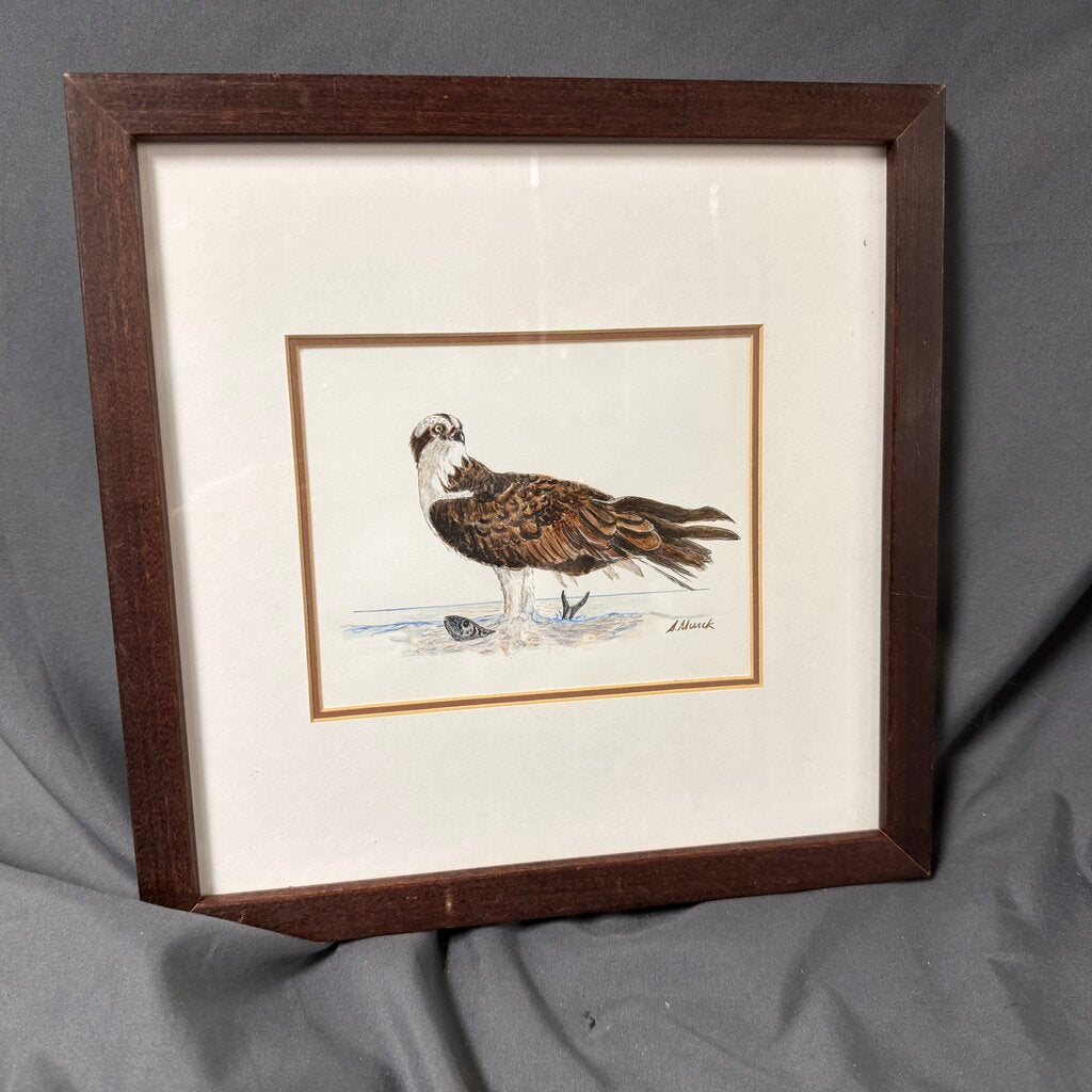 Original Local Artist Acrylic - Hawk