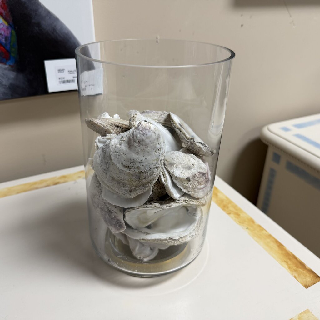 Glass Hurricane w/Oyster Shells