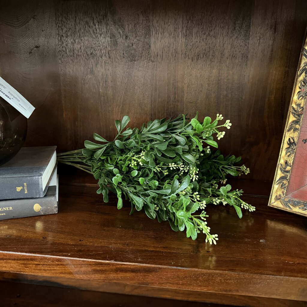 Boxwood Stems Bundle