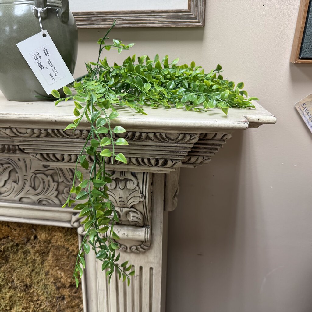 Greenery Stems