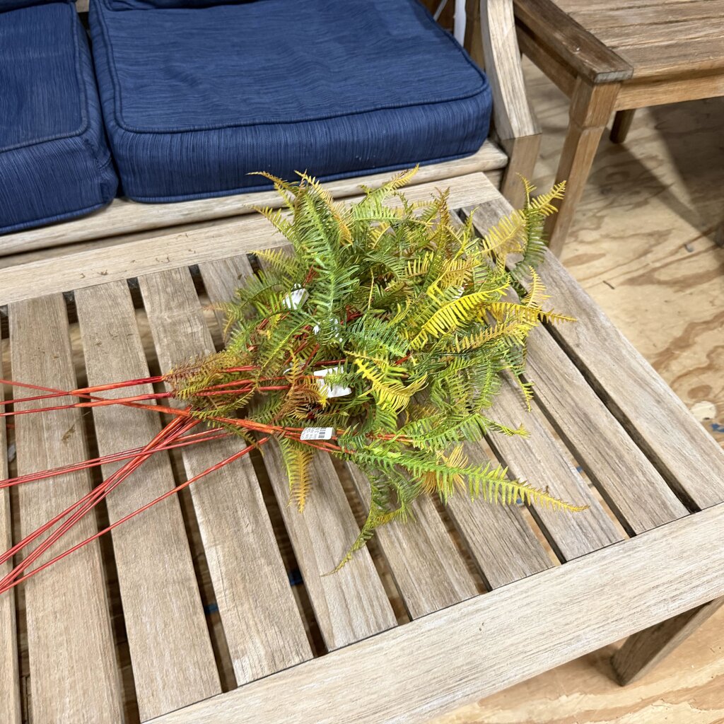 Fern Stems Bundle