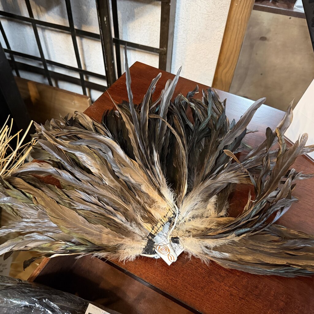 Long Feathers on String Bundle