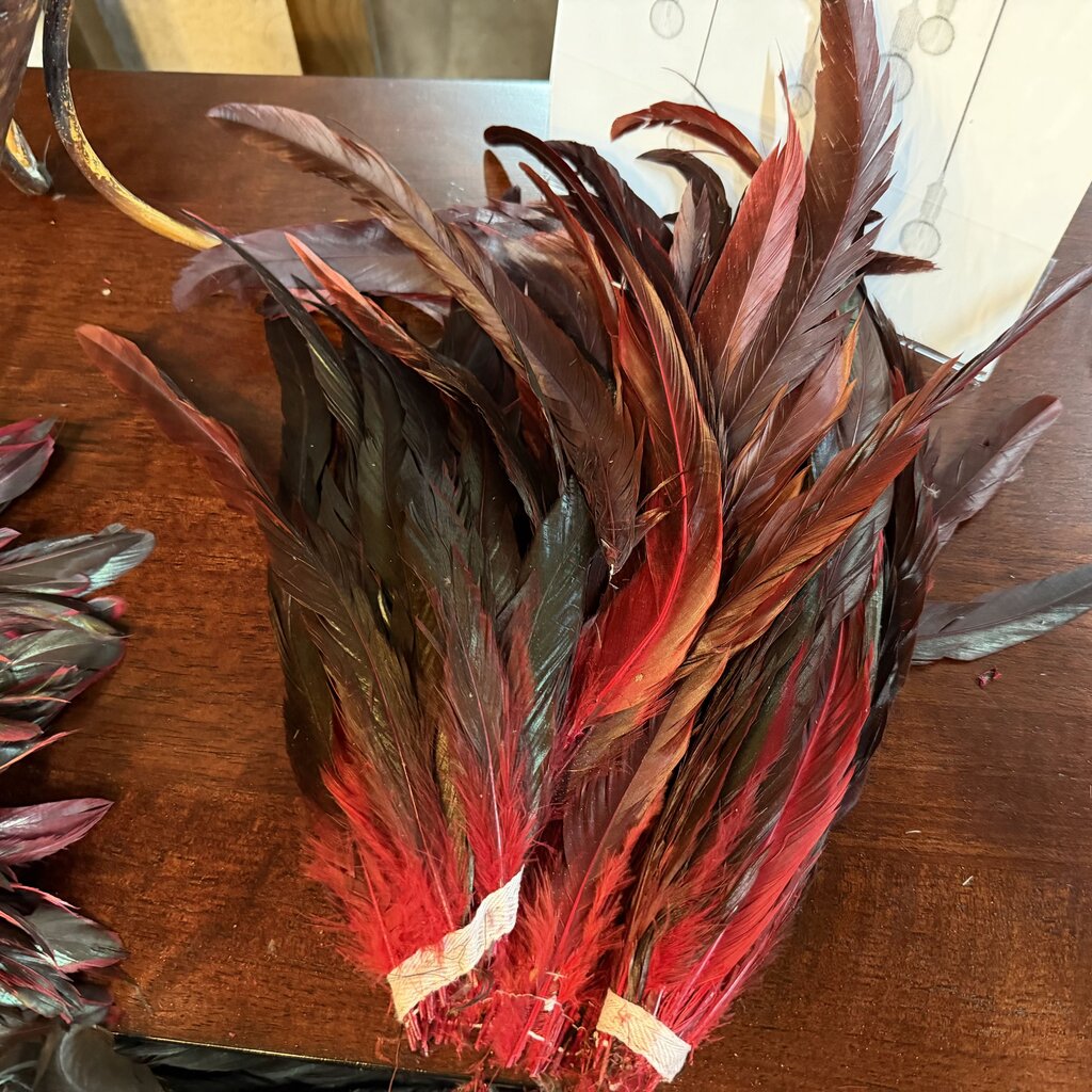 Red Long Feathers on String Bundle