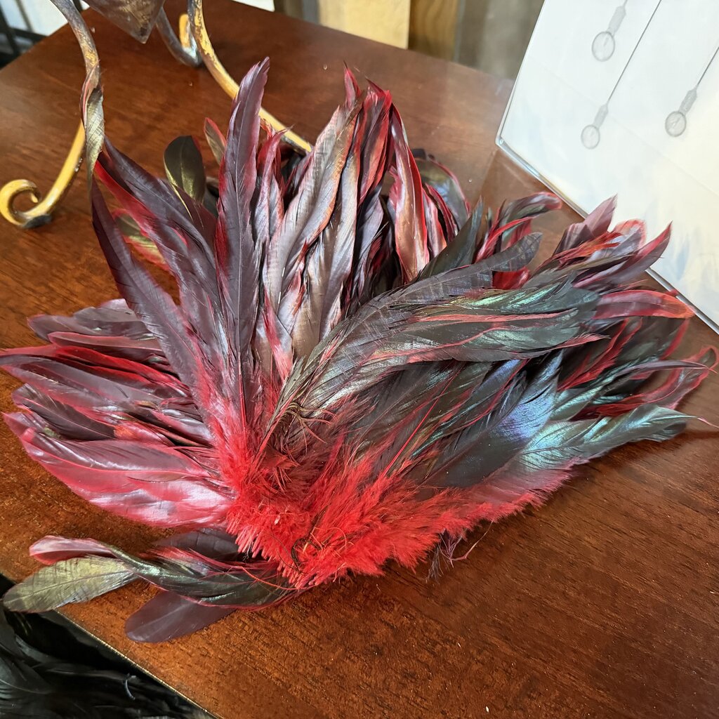 Red Short Feathers on String Bundle