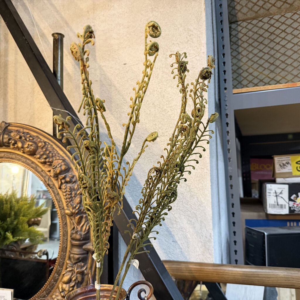 Dragon Fern Stems Bundle