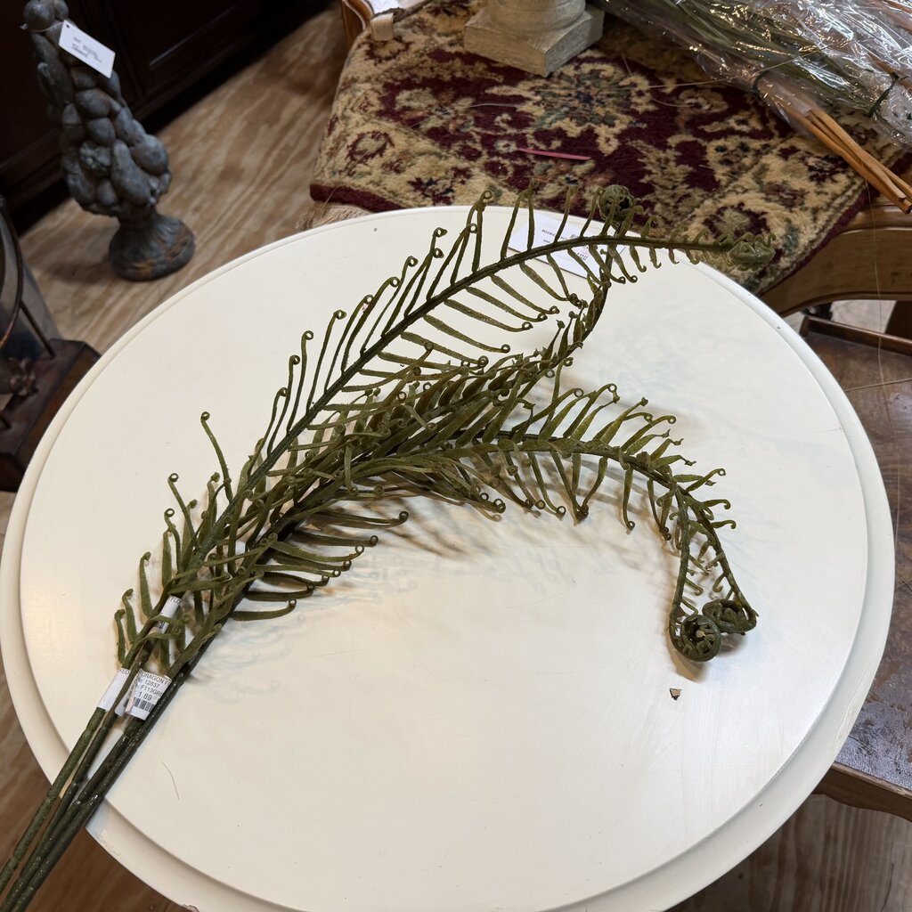 Dragon Fern Spray Bundle