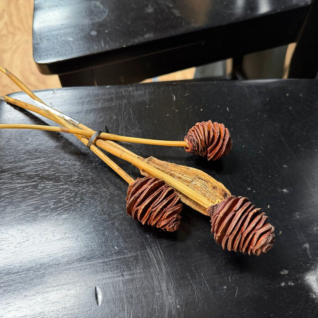 Dried Cone Picks Bundle