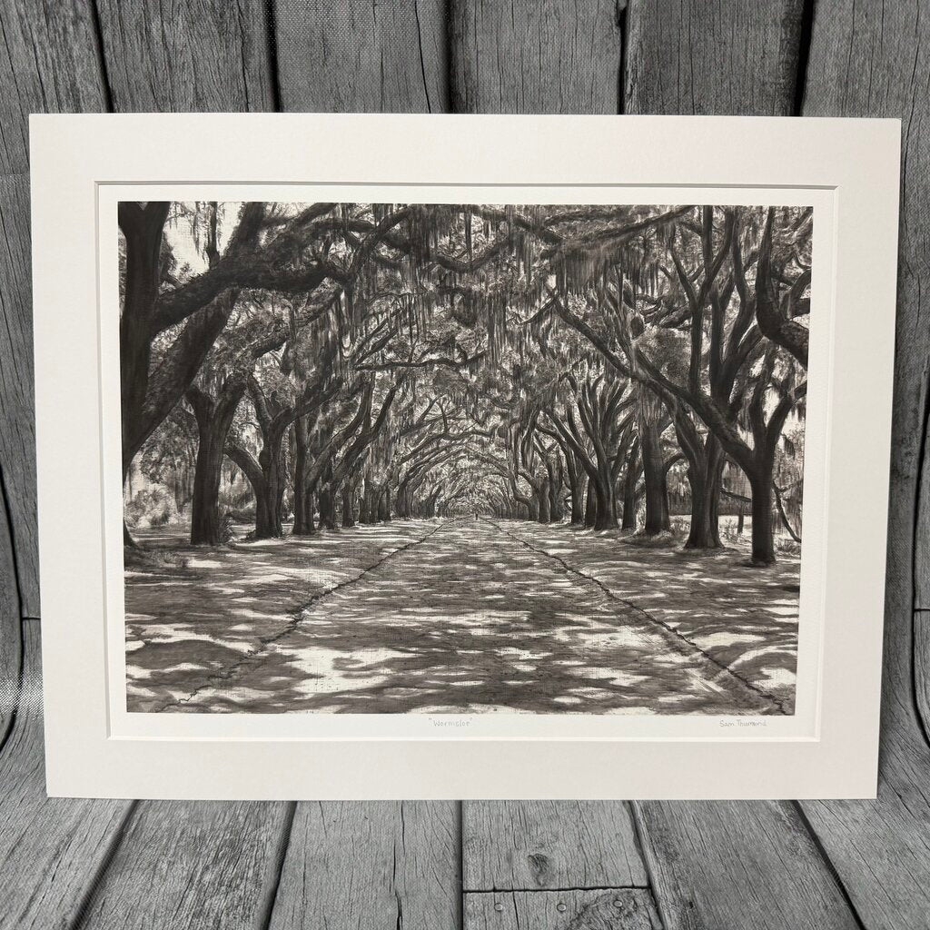 Local Artist Signed B+W Wormsloe Somerset Velvet Giclee Print