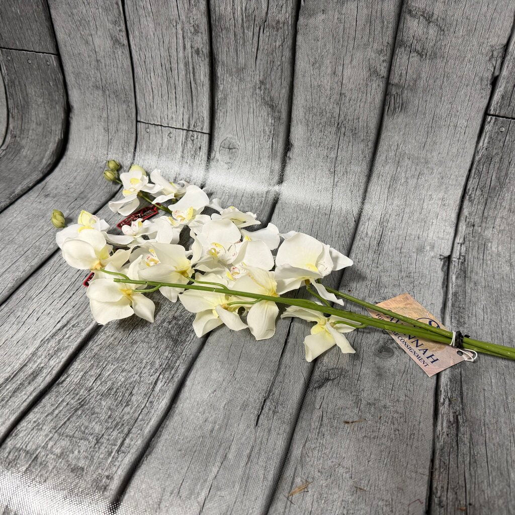 Set/3 White Orchid Stems