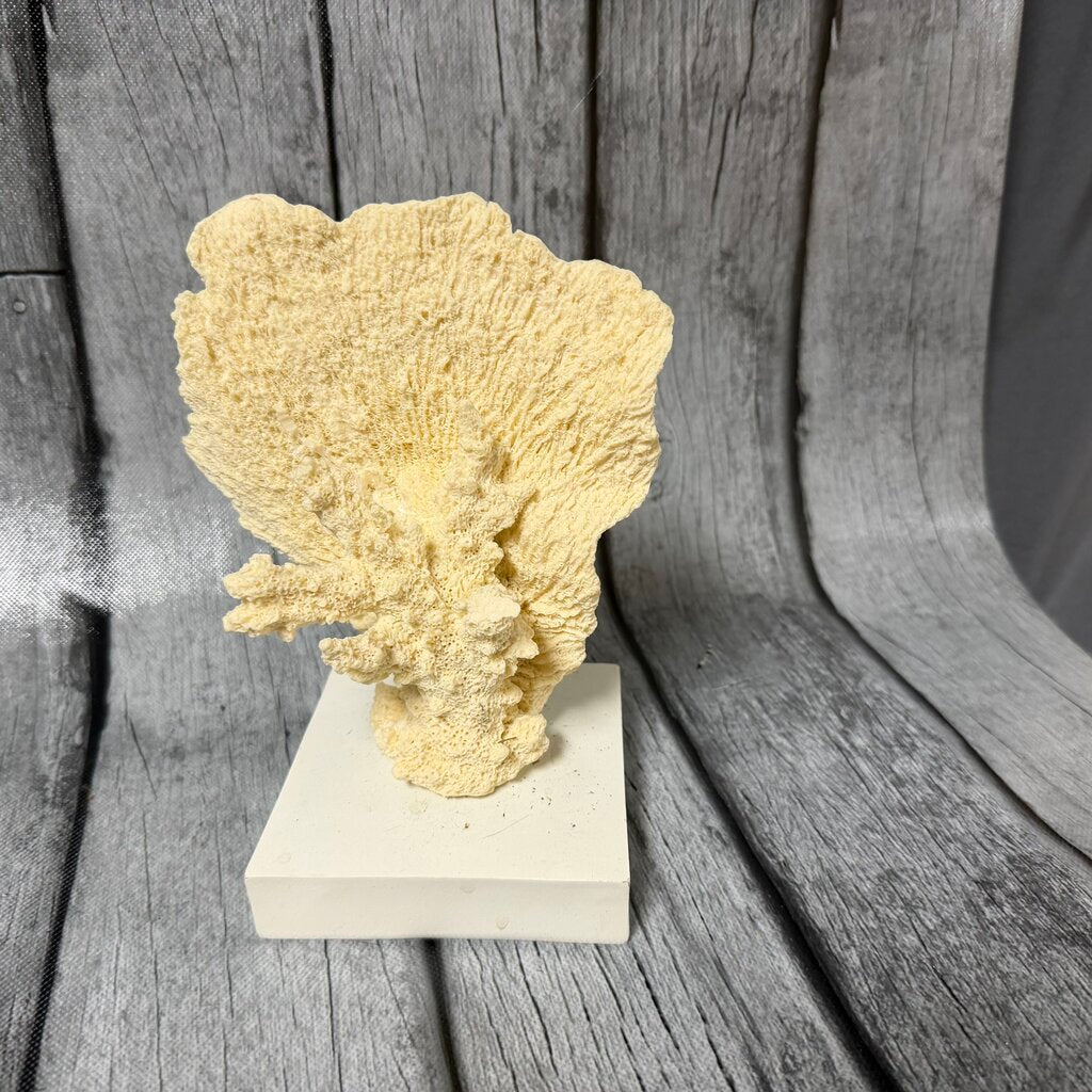 Decorative Coral on Stand