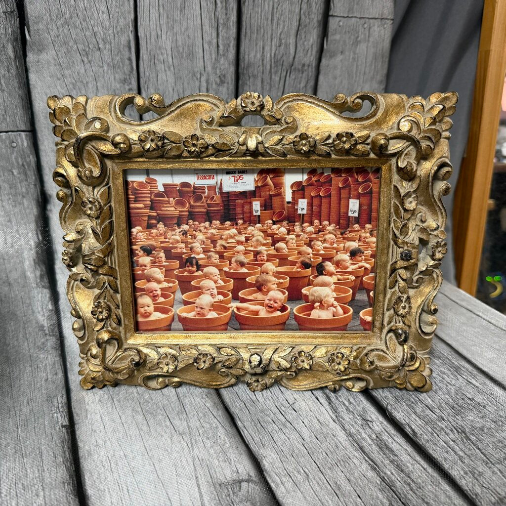 Ornate Gold Picture Frame