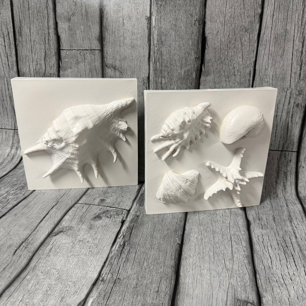 Pair White Plaster Shell Plaques
