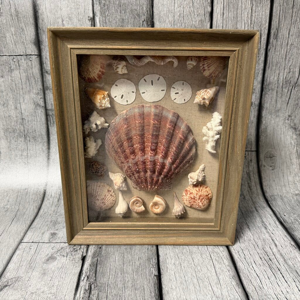 Seashell Shadow Box