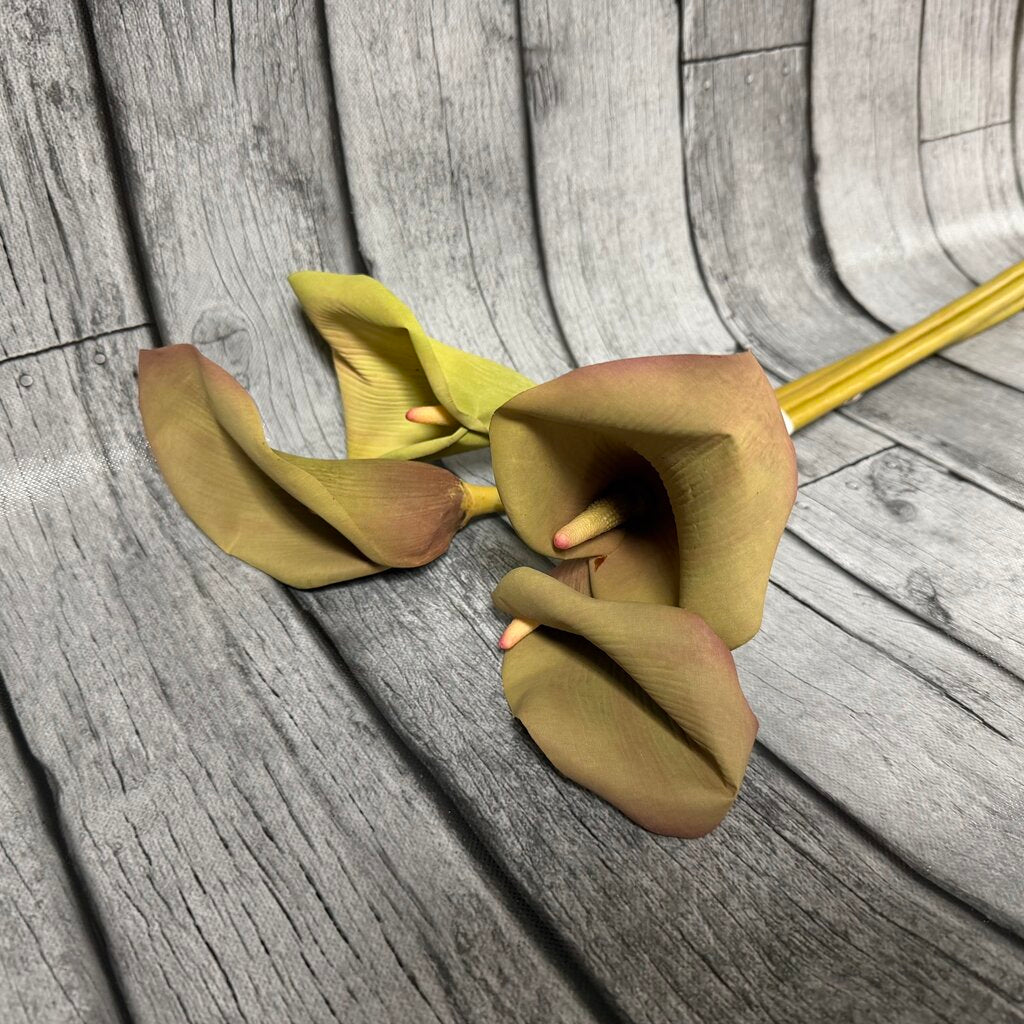 Calla Lily Stems