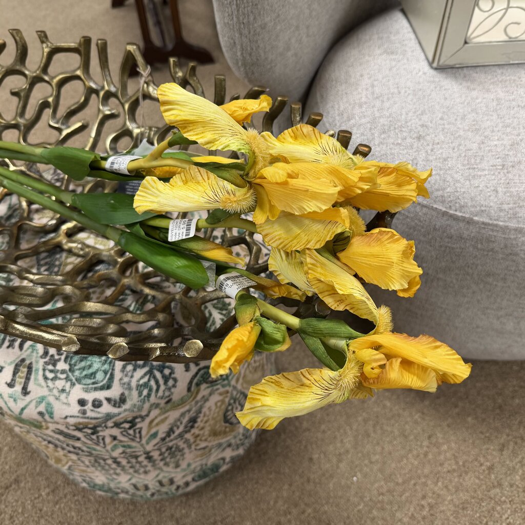 Yellow Iris Stems Bundle
