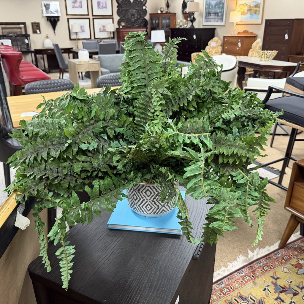 Fern Spray