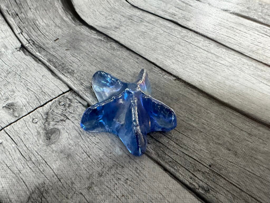 Glass Starfish