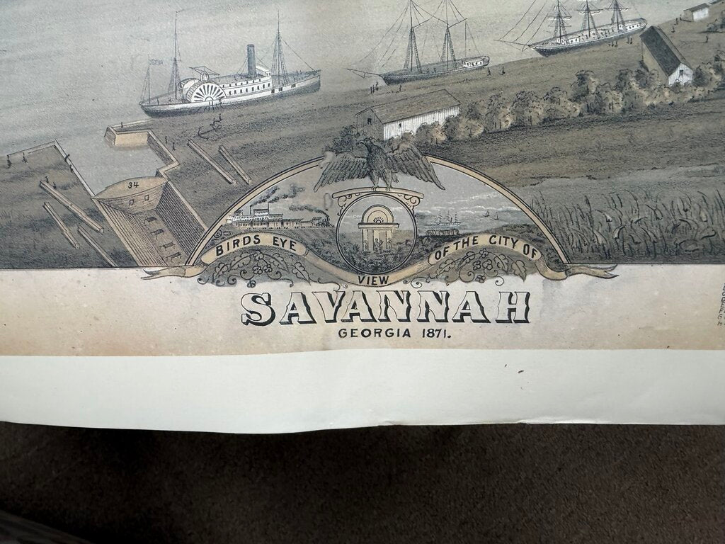Savannah Plan Print