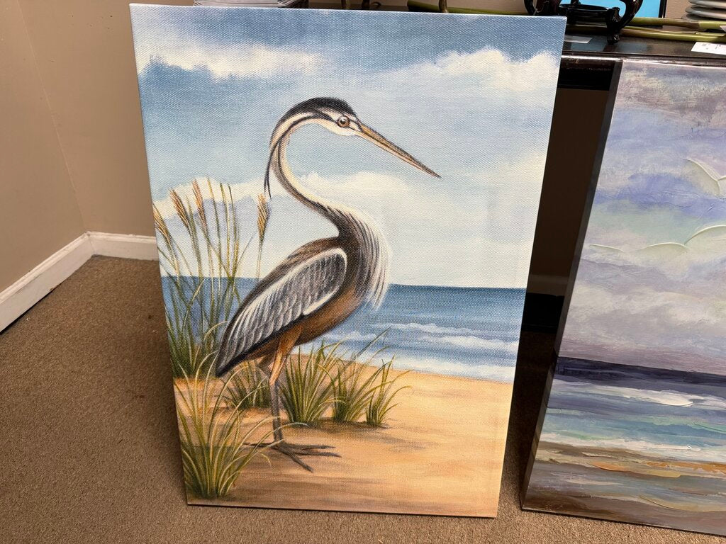 Shore Bird Canvas