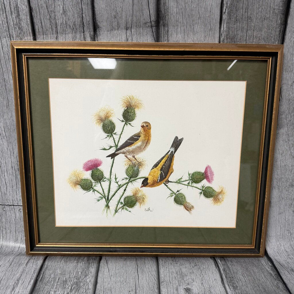 American Goldfinch Print