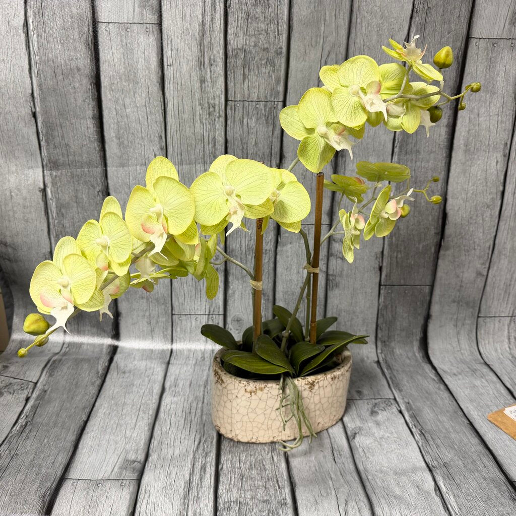 Faux Orchid in Planter