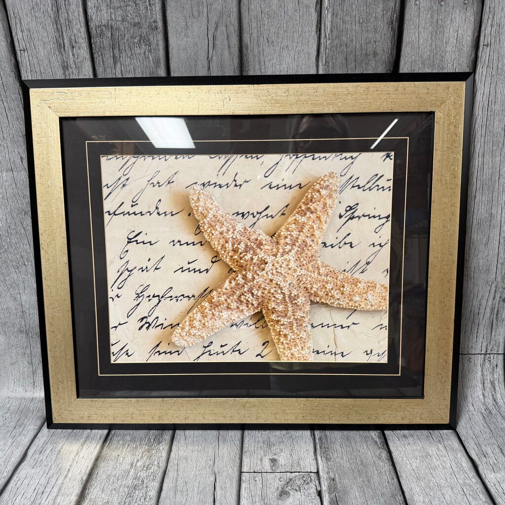 Starfish Print