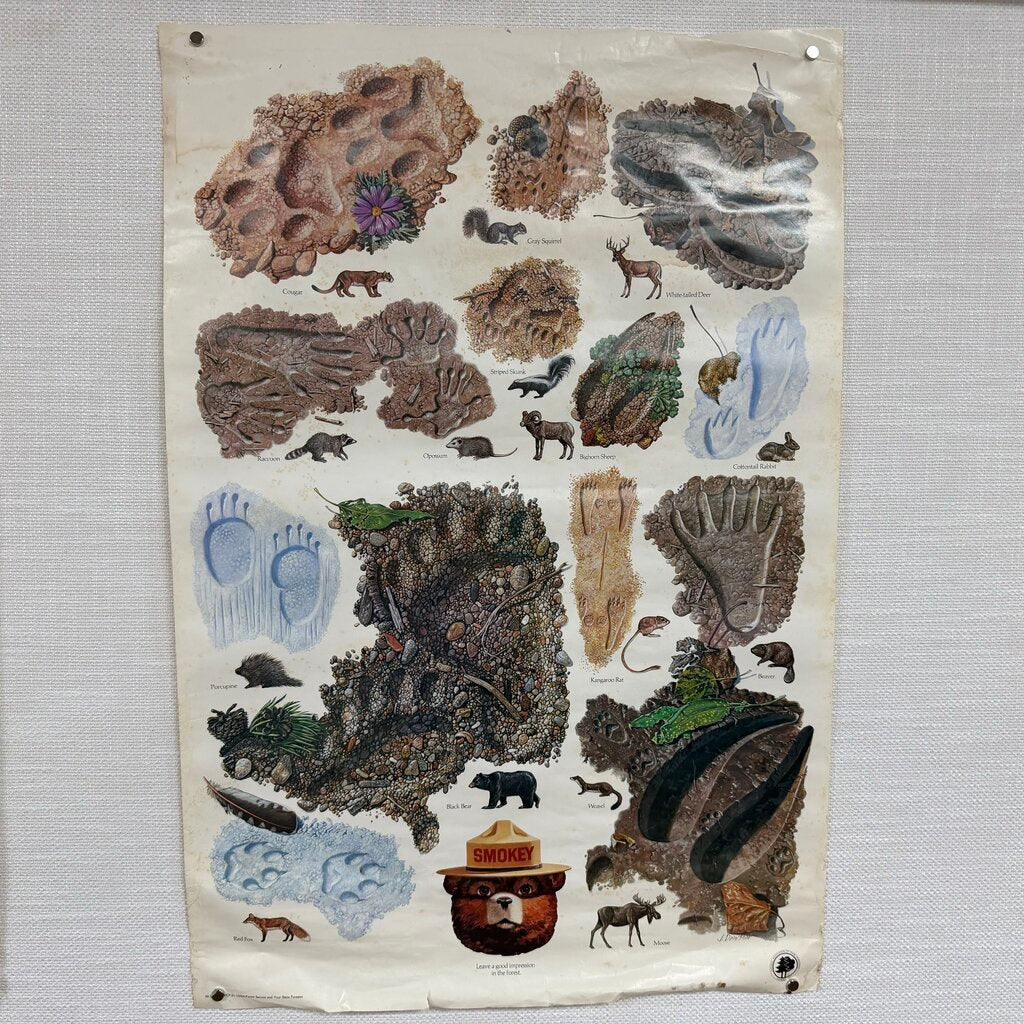 Vintage 1980s Smokey Bear Wildlife Poster