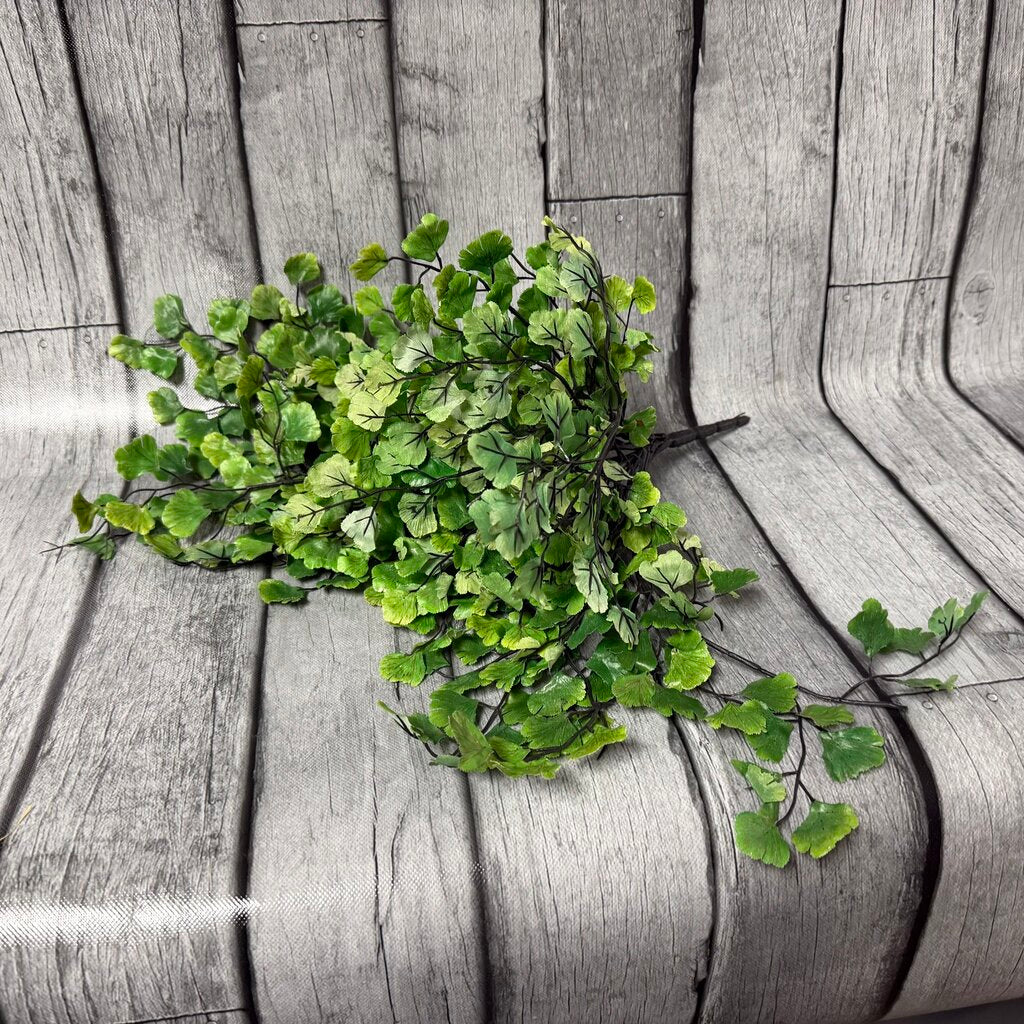 Maidenhair Fern Spray