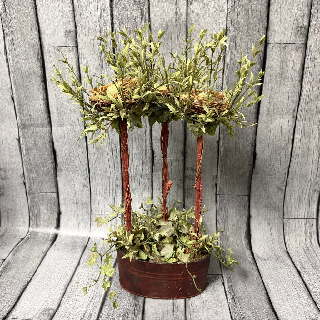 Bird's Nest Topiary