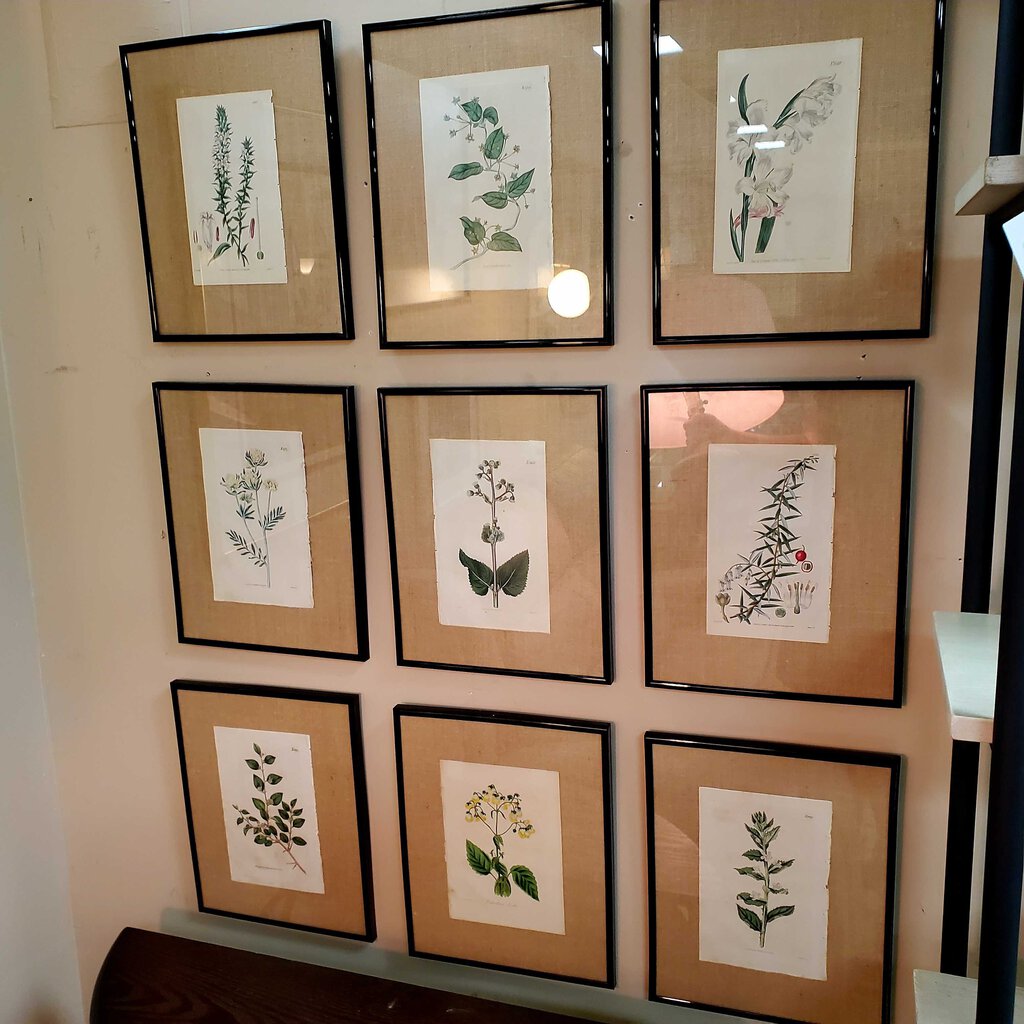Set/20 Vintage Framed Botanicals