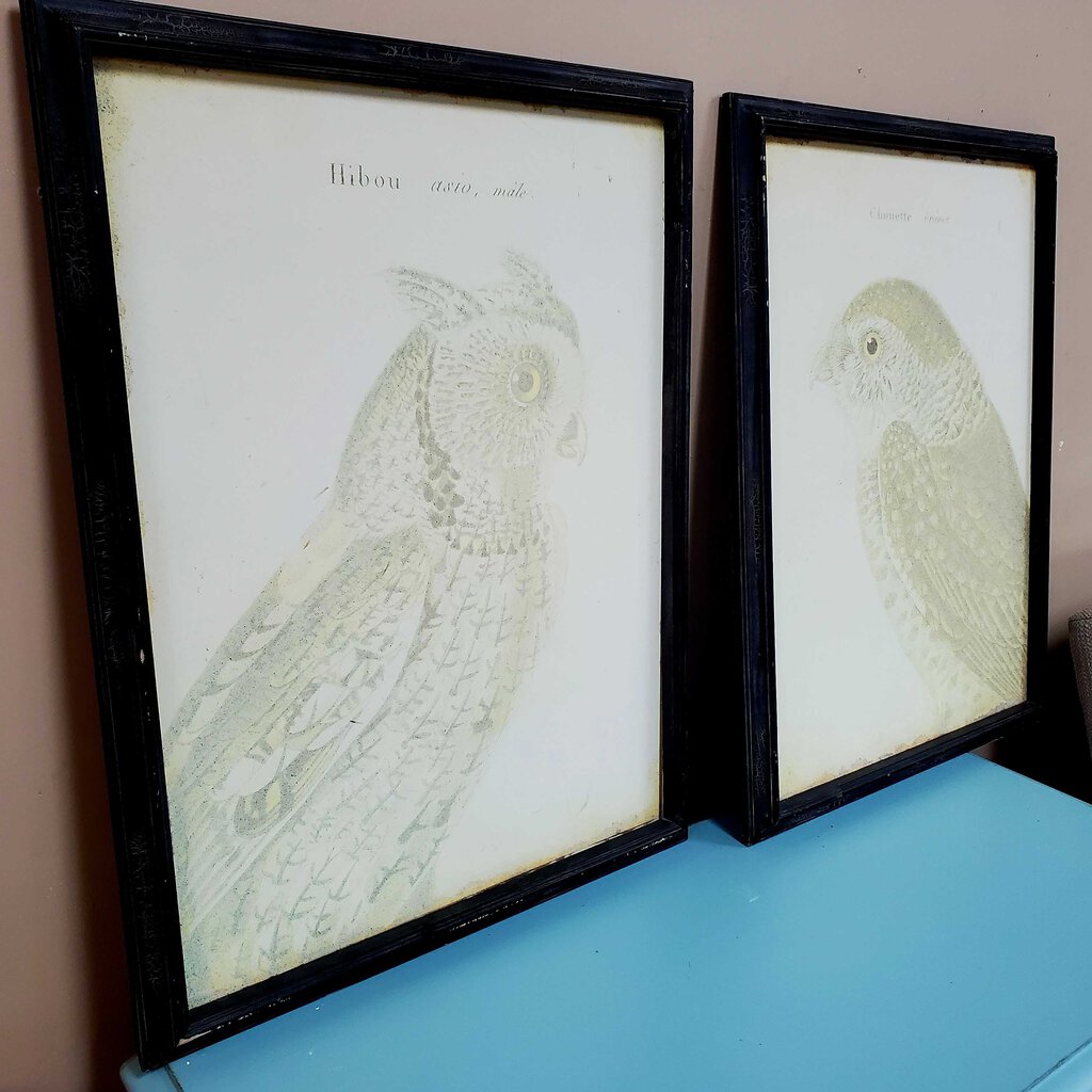 Pair Bird Prints